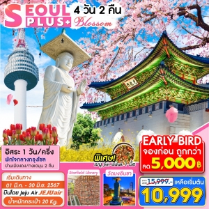 ทัวร์เกาหลี Seoul Plus 4วัน 2คืน (7C)